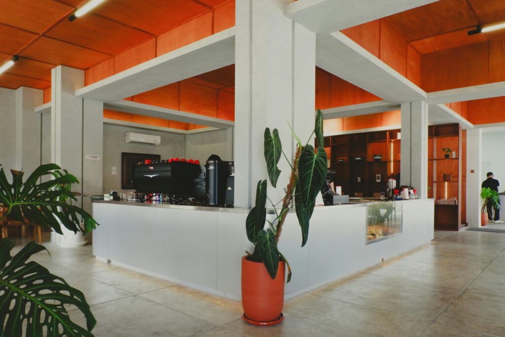 cafe with aesthetic interior