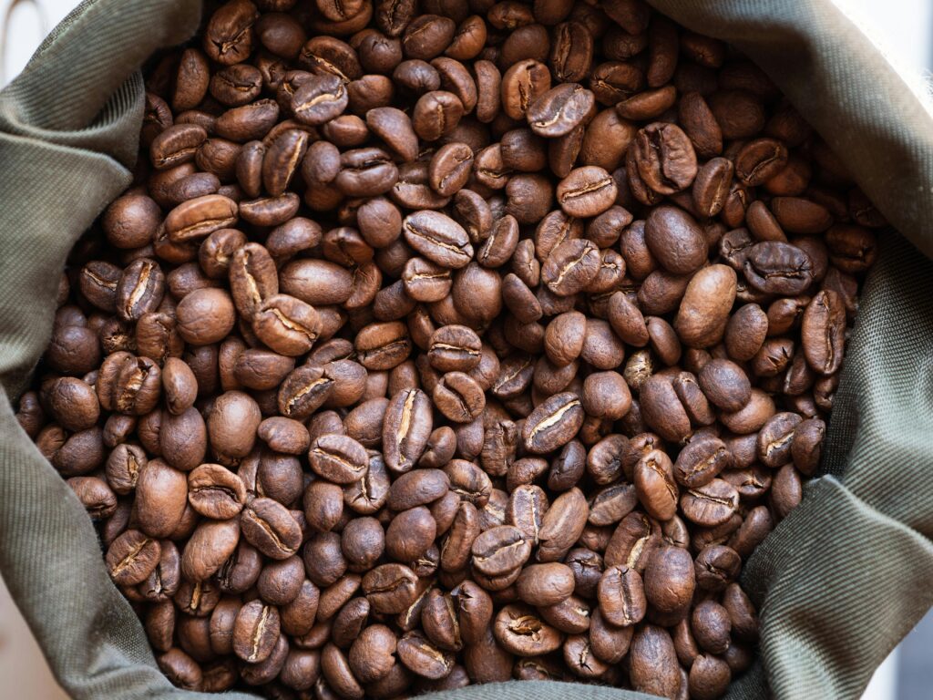 Arabica vs Robusta coffee beans comparison chart